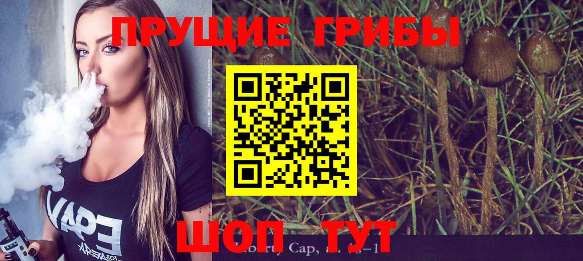 Псилоцибиновые грибы Psilocybine cubensis Сосновоборск