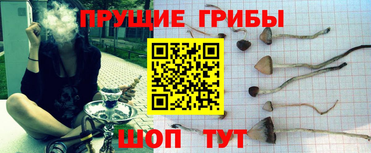 Галлюциногенные грибы MAGIC MUSHROOMS  Вход с VPN  Сосновоборск 